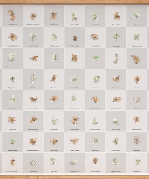 Vielfalt(er); Wandobjekt; mixed media; 125 x 240 x 15 cm; 2007